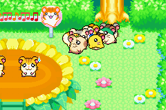 screenshots/Game Boy Advance/Hamtaro - Rainbow Rescue/Hamtaro - Rainbow Rescue (Eng) 082.png